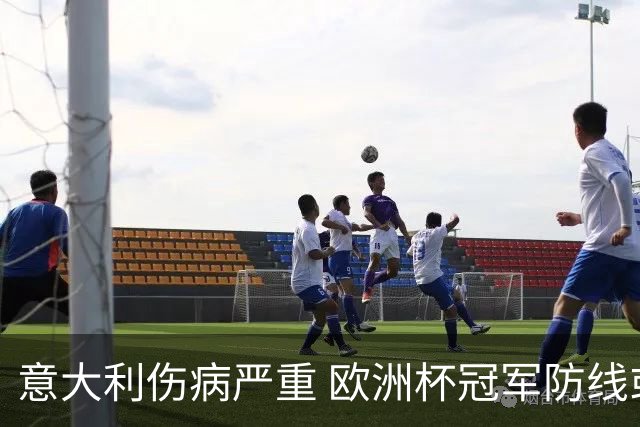 意大利伤病严重 欧洲杯冠军防线或全部无法上场